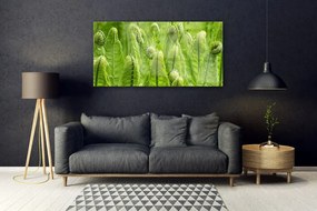 Obraz plexi Rastlina príroda 120x60 cm