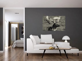 Obraz - Jeleň (90x60 cm)