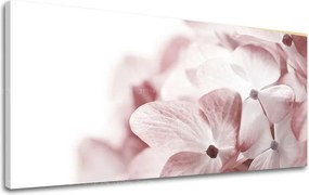 Obraz na stenu Panoráma KVETY XOBKV114E13 - 30x60 cm