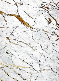 Dywany Łuszczów, Kusový koberec Allure 1963 white/gold, 80x150, biela, kancelária