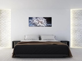 Obraz - Snehobiely strom (120x50 cm)