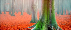 Obraz stromu (120x50 cm)