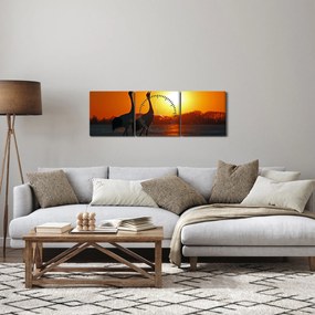 Obraz vtákov pri západe slnka (s hodinami) (90x30 cm)