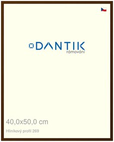 DANTIK rám na obraz 40x50 | ALU Hnědá umbra broušená (Sklo Čiré)
