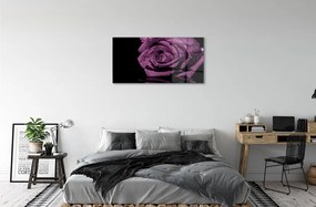 Obraz na skle purpurová ruža 100x50 cm