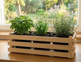 AMADEA Drevený obal s kvetináčmi, 47x17x15cm Český výrobok