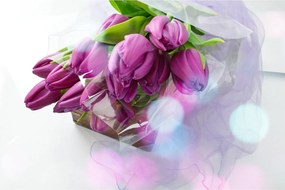 Obraz - kytice tulipánov (90x60 cm)