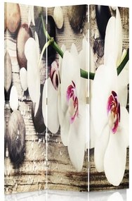Ozdobný paraván Bílé sedmikrásky květy - 110x170 cm, trojdielny, obojstranný paraván 360°