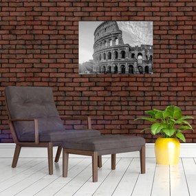 Sklenený obraz - Koloseum v Ríme, čiernobiele (70x50 cm)
