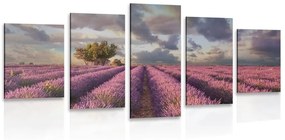 5-dielny obraz krajina levanduľových polí - 200x100