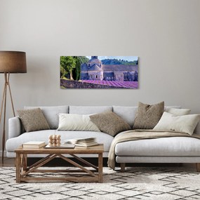 Obraz - Levanduľové pole (120x50 cm)