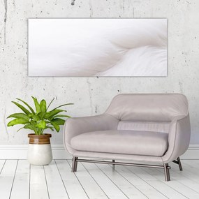 Obraz - Biele pierko (120x50 cm)
