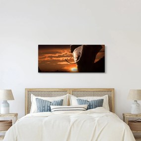 Obraz slona (120x50 cm)