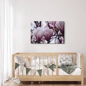 Obraz - Magnolie (90x60 cm)