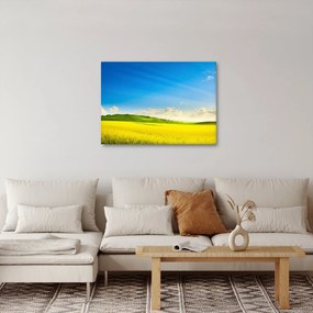 Obraz - Jarné nebo (70x50 cm)