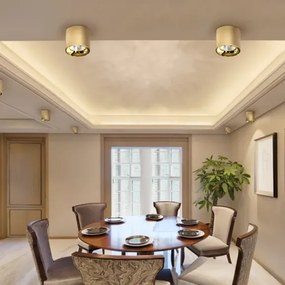LED bodové svetlo Mane 30W zlaté