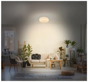 Livarno home Stropné LED svietidlo s efektom hviezdnej oblohy (bez čierneho lemu)  (100366535)