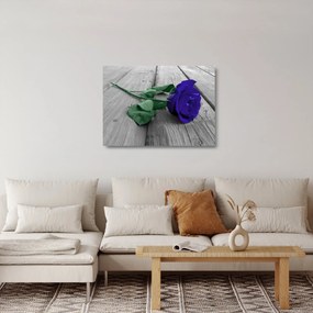 Sklenený obraz - Modrá ruža so zelenou stonkou (70x50 cm)