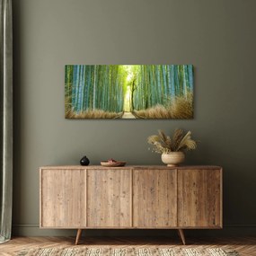 Obraz - Ulička s bambusmi (120x50 cm)