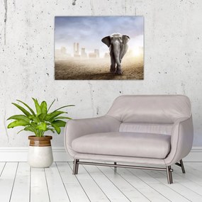 Sklenený obraz - Sloníčka vo veľkomeste (70x50 cm)