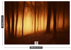 Fototapeta Vliesová Strašidelný les 104x70 cm