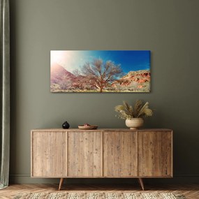 Obraz stromu v púšti (120x50 cm)