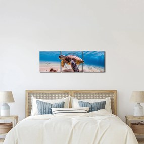 Obraz korytnačky v oceáne (s hodinami) (90x30 cm)