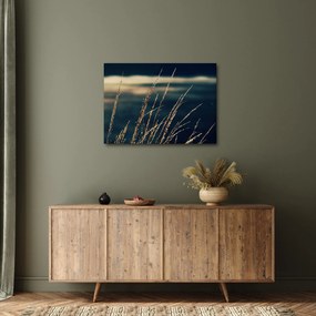 Obraz tráv (70x50 cm)