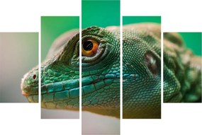 Detailný obraz jaštera (150x105 cm)