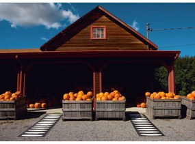 Čierny vnútorný a vonkajší behúň 70x300 cm Ella Black – Pappelina