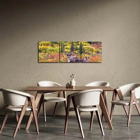 Obraz - Karibu na Aljaške (s hodinami) (90x30 cm)