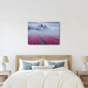 Obraz - Krajina s tulipánovými poľami (70x50 cm)