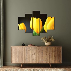 Obraz tulipánov (150x105 cm)