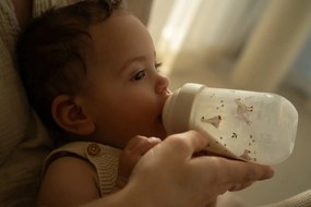 Dojčenské fľaše 165 ml + 240 ml + 2 cumlíky Husa