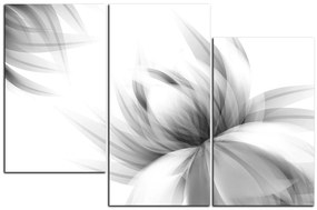 Obraz na plátne - Elegantný kvet 1147QC (120x80 cm)
