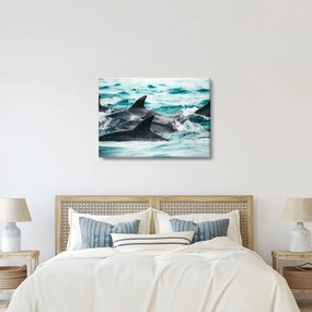 Obraz - Delfíny v oceáne (70x50 cm)