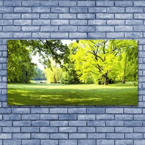 Obraz plexi Tráva stromy park príroda 120x60 cm