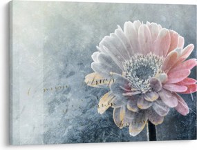 Obraz - Zimný kvet (70x50 cm)