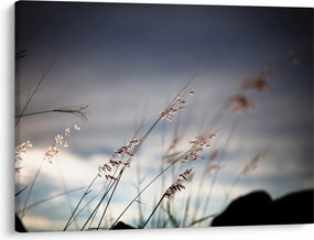 Obraz - Lúčne kvety pri jazere (70x50 cm)