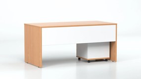 DREVONA Kancelársky stôl LUTZ 160x80 buk + biela