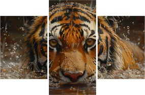 Obraz - Portrét tigra vo vode (90x60 cm)