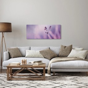 Obraz - Fialové motýliky (120x50 cm)