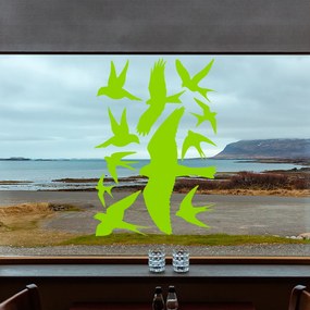 Veselá Stena Samolepka Vtáci Farba: zelená, Veľkosť: 80 x 55 cm