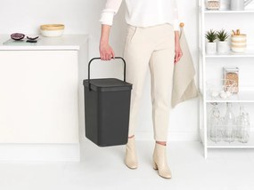 Brabantia Kôš Sort & Go 25L sivá