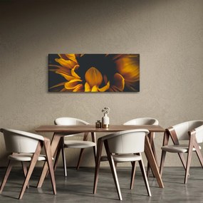 Obraz - Slnečnica v čiernom pozadí (120x50 cm)