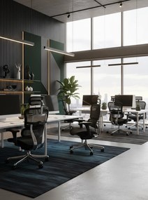 Grospol - Kancelárske kreslo Ergohuman 2 Basic BS Black