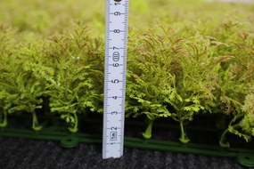 Umelý rastlinný panel KATE MOSS 50 x 50 cm - Panel 50x50 Europe Grass