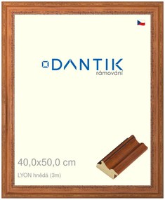 DANTIK rám na obraz 40x50 | LYON hnědá (Sklo Čiré)