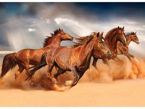 Fototapeta na stenu Horses in the desert