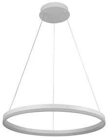 Brilagi - LED Stmievateľný luster na lanku CIRCLE LED/42W/230V 3000-6500K + DO